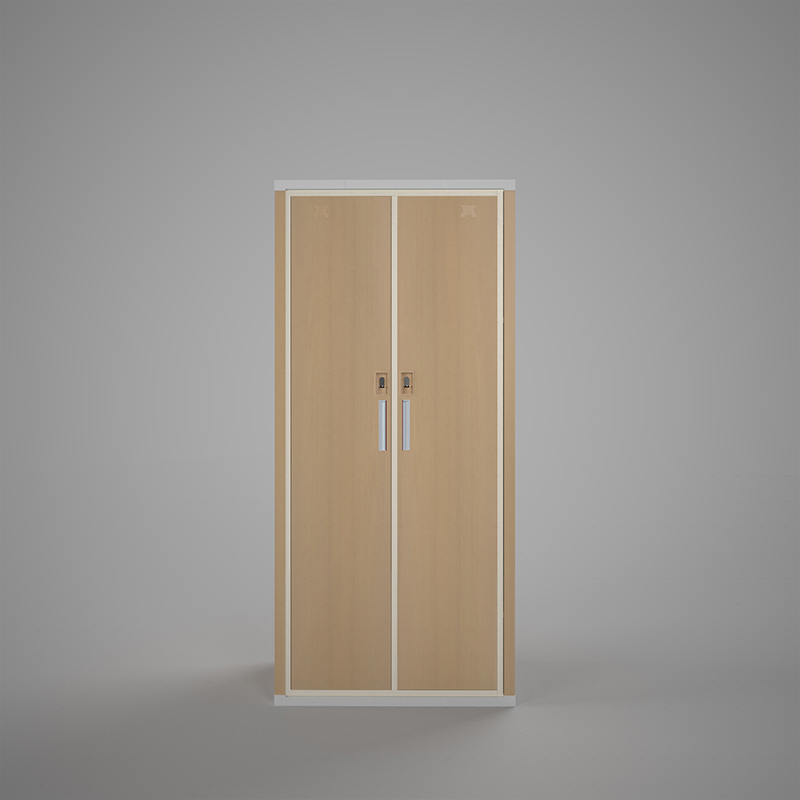 钢制双开门衣柜